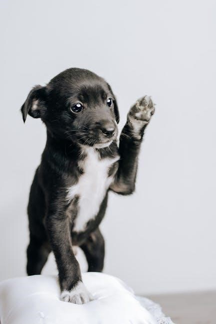 dog training guide pdf