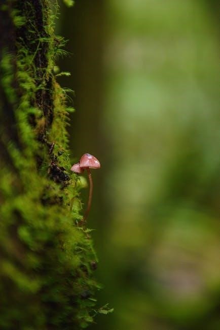 peter cundall planting guide tasmania